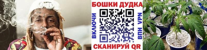 Купить наркотики сайты Черепаново А ПВП  КОКАИН  ГАШИШ  Меф мяу мяу  Галлюциногенные грибы  Канабис 