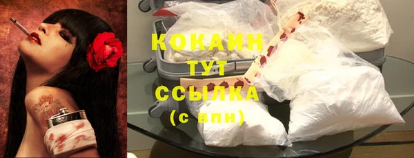 кокс Алексин