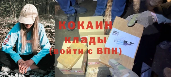 кокс Алексин